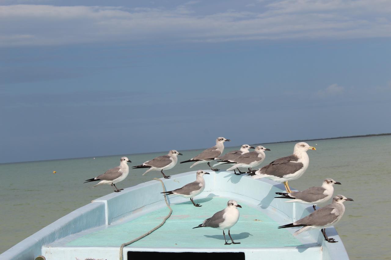 Tierra Mia Boutique Hotel Isla Holbox Exterior photo